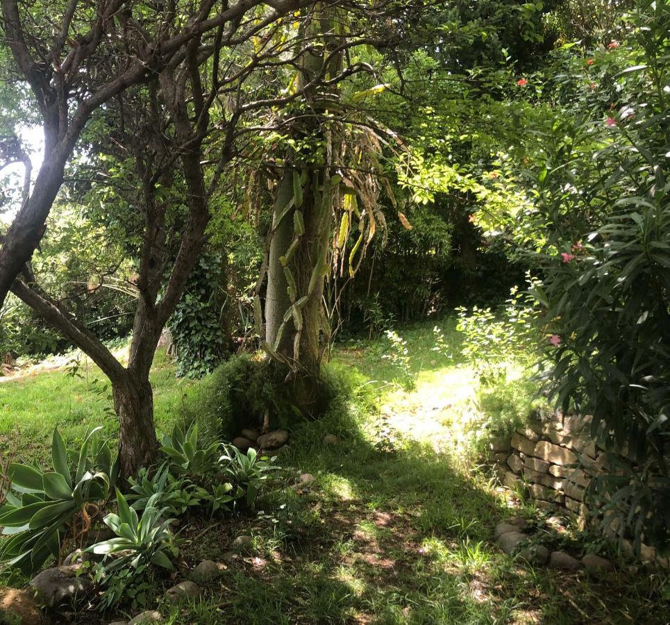Casa Simba B&B (Adults Only) Estepona Exterior photo