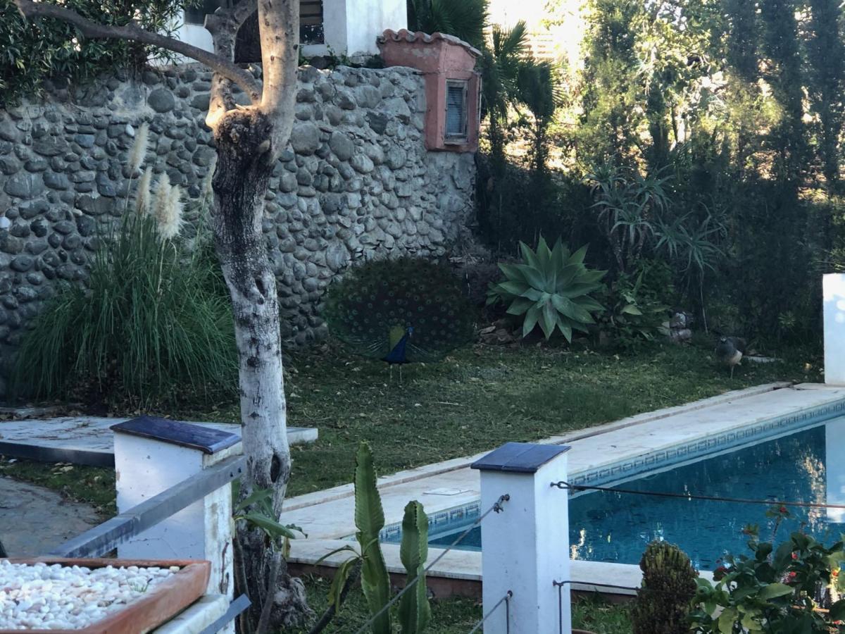 Casa Simba B&B (Adults Only) Estepona Exterior photo