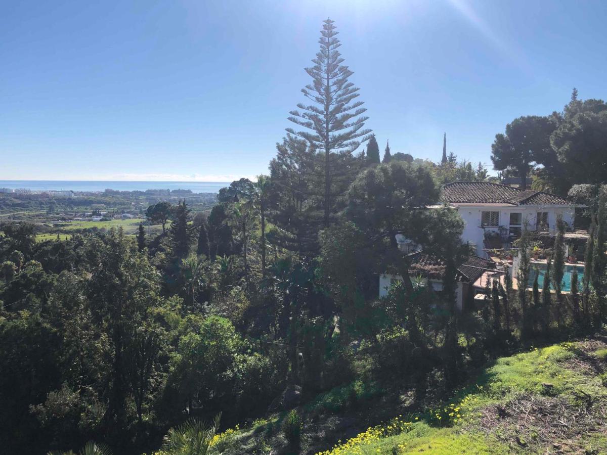 Casa Simba B&B (Adults Only) Estepona Exterior photo