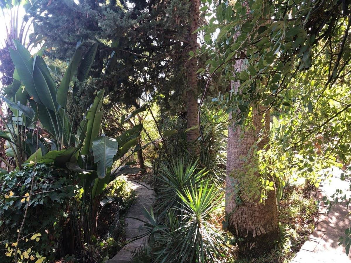 Casa Simba B&B (Adults Only) Estepona Exterior photo